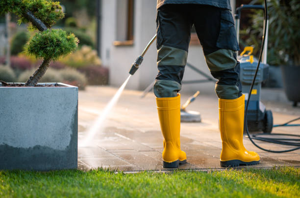 Best Surface-Specific Cleaning in Berlin, NJ